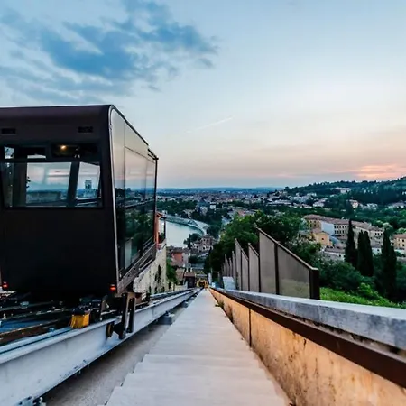 Daire Dear George, House